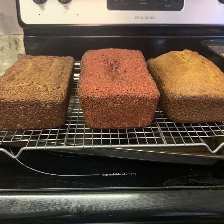 Fresh loaves cooling on a wire rack